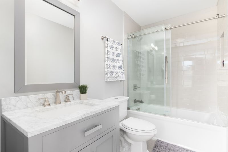 Top Tub To Shower Conversion Companies in Bethesda, MD