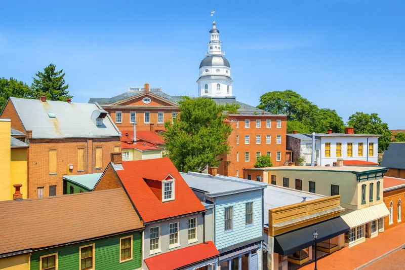 Best Tub To Shower Conversion pros in Randallstown, MD